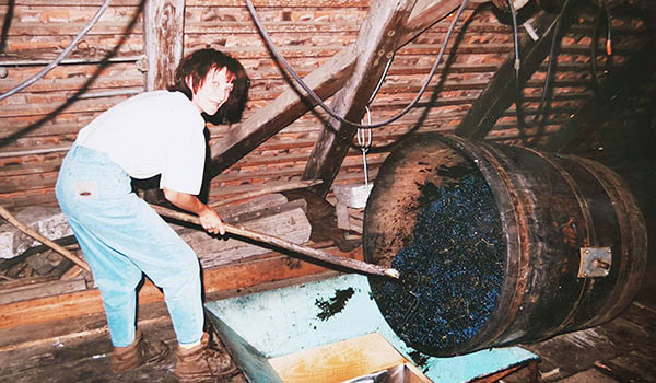 Geschichte zum Weingut